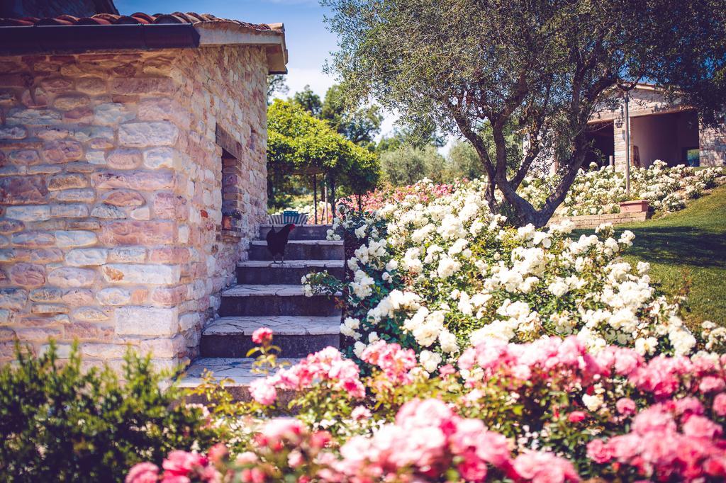 פוסומברונה Agriturismo Casal San Sergio מראה חיצוני תמונה